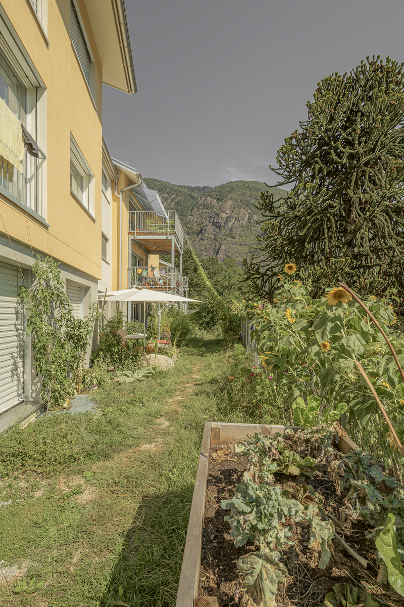 Il grande giardino della Cooperativa