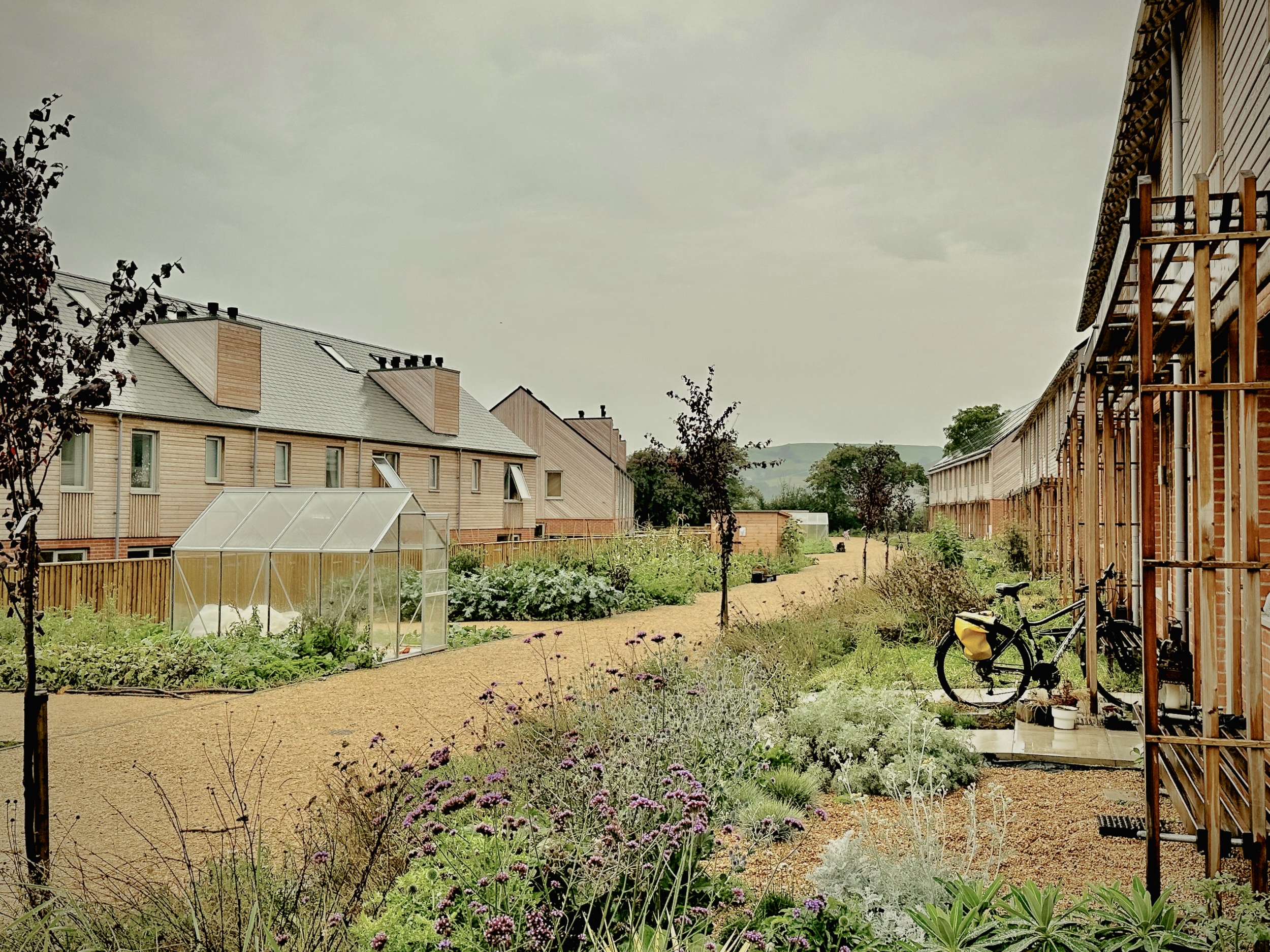 Eco-friendly garden